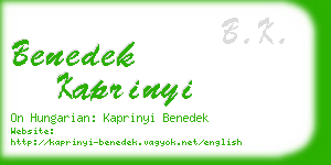 benedek kaprinyi business card